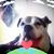 Joshua Marroquin's profile image