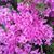 Mary Anne Eldredge Sirois's profile image