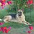 GabrielyGaby Garcia's profile image