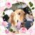 Cindie Blackmer McCulloch's profile image