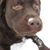Lori Saia's profile image