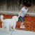 Javier Escalante's profile image