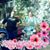 Kimberly K. Dieterich's profile image