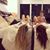 Sofi Prete's profile image