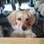 Beatel Iliff's profile image
