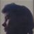 Toni Lorrain Moore's profile image