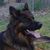 LaJuana Perkins LeCroy's profile image