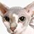Andrea Davis's profile image