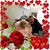 Monty Van Horn's profile image
