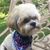 Linda Opferman's profile image