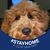 Elizabeth Ann Dillon's profile image