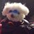 Jerri Lynn Lyons's profile image
