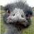 Maritza Maritza's profile image