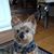 Paulita M. Biddle's profile image
