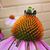 Laurie Paasch's profile image