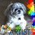 Tom Lassila's profile image
