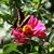 Linda Lee Lucas Huston's profile image