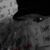 Debbie Moore's profile image