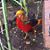Doni Sue Jones's profile image