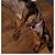 Susan Hamm Lancaster's profile image