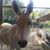 Vincent Hocutt's profile image
