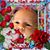 Sharon Vanderhorst's profile image