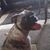 Ray Wolski's profile image