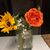 Sherry Loveland's profile image