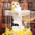 Nichole Kelland's profile image