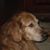 Carol Hofmann Berg's profile image
