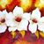Betty Gza's profile image
