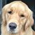 Deborah Fowler's profile image