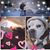 Renee Wojack's profile image
