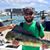 Bryce Kerwin's profile image