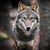 Jerry Girod's profile image