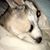 Heather Matteson's profile image