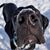 Kristi Grott Chadderdon's profile image