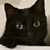 Dawn Starkey's profile image