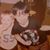 Belinda Kennedy Scarbrough's profile image