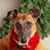 Ellen M Livesay's profile image