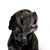 Julie Oghigian's profile image