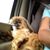 Donald Toft's profile image