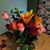 Carol Schultz's profile image