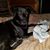 Irene Normile's profile image