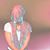 Ashley Blume Caicedo's profile image