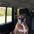 Lydia Boychuck Parson's profile image