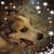 Patti Ecker's profile image