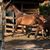Elizabeth McFeaters's profile image