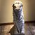 Kathleen Dunn-Raynoha's profile image