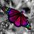 Jessie Gonzalez's profile image